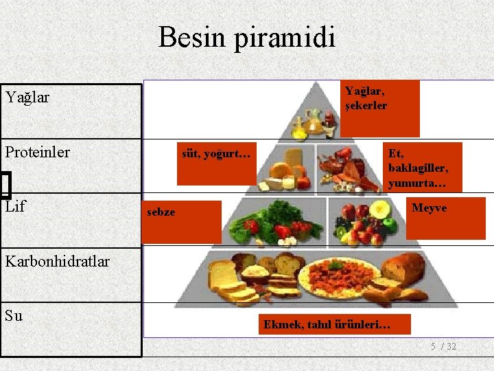 Besin piramidi Yağlar, şekerler Yağlar Proteinler Lif süt, yoğurt… Et, baklagiller, yumurta… Meyve sebze