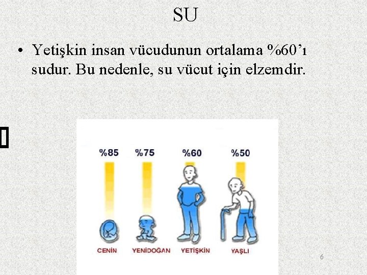 SU • Yetişkin insan vücudunun ortalama %60’ı sudur. Bu nedenle, su vücut için elzemdir.