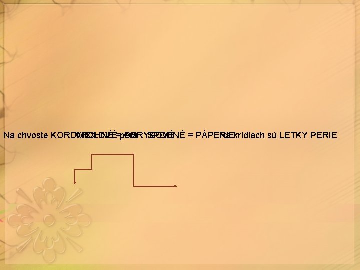 Na chvoste KORDMIDLOVÉ VRCHNÉ =perá OBRYSOVÉ SPODNÉ = PÁPERIE Na krídlach sú LETKY PERIE Na chvoste KORDMIDLOVÉ VRCHNÉ =perá OBRYSOVÉ SPODNÉ = PÁPERIE Na krídlach sú LETKY PERIE