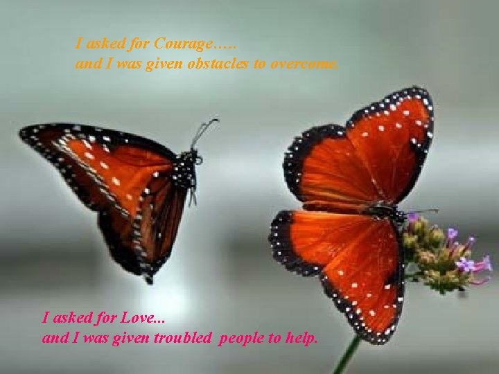 I asked for Courage…. . and I was given obstacles to overcome. I asked