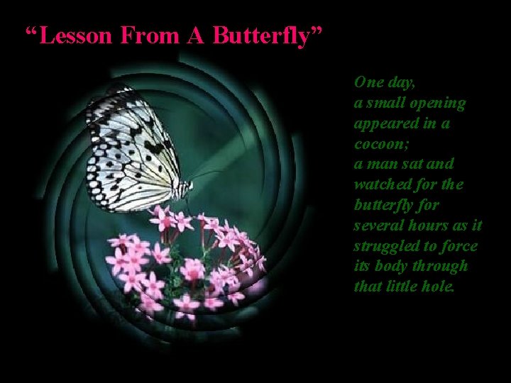 “Lesson From A Butterfly” One day, a small opening appeared in a cocoon; a