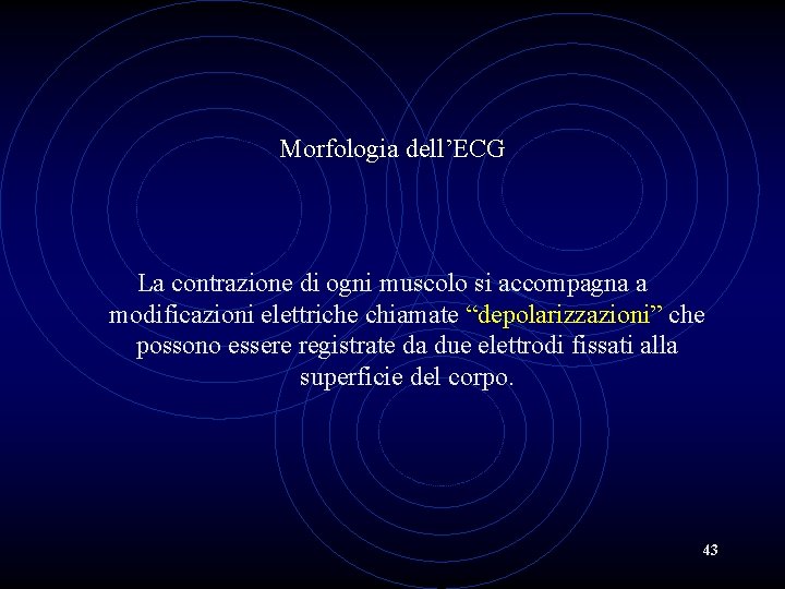 Morfologia dell’ECG La contrazione di ogni muscolo si accompagna a modificazioni elettriche chiamate “depolarizzazioni”