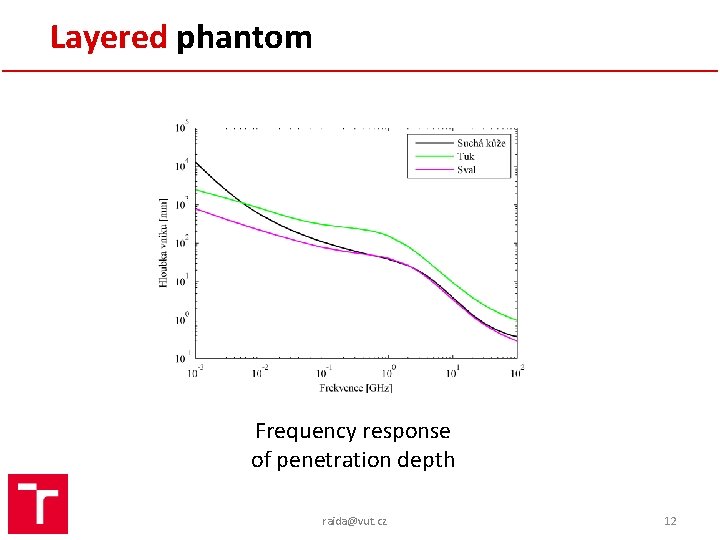 Layered phantom Frequency response of penetration depth raida@vut. cz 12 