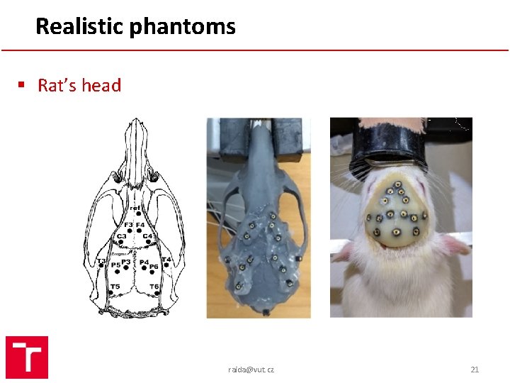 Realistic phantoms § Rat’s head raida@vut. cz 21 