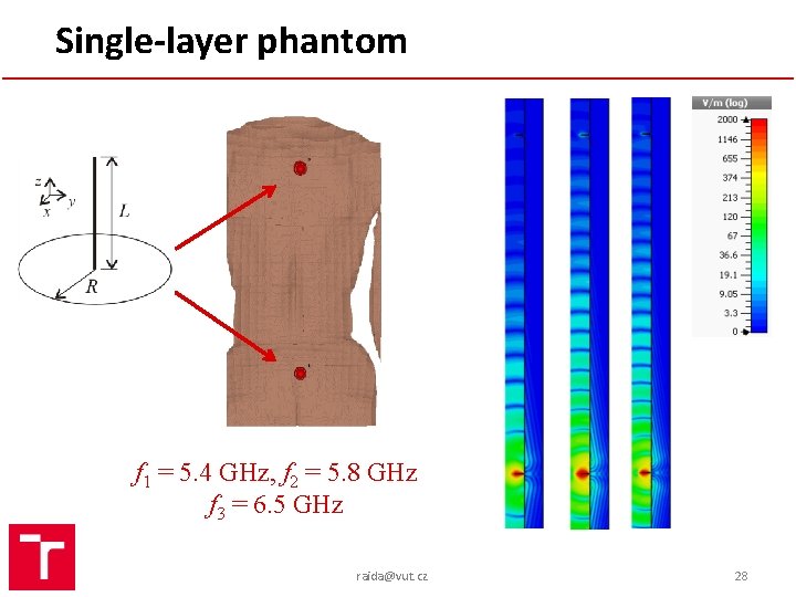 Single-layer phantom f 1 = 5. 4 GHz, f 2 = 5. 8 GHz