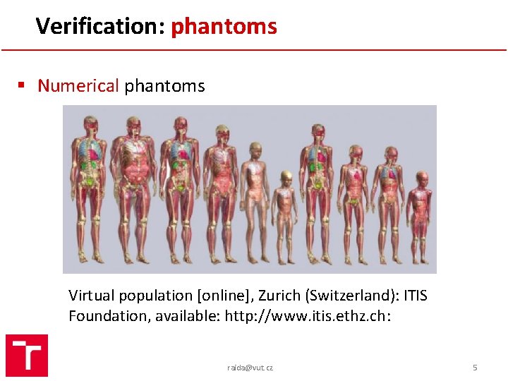 Verification: phantoms § Numerical phantoms Virtual population [online], Zurich (Switzerland): ITIS Foundation, available: http: