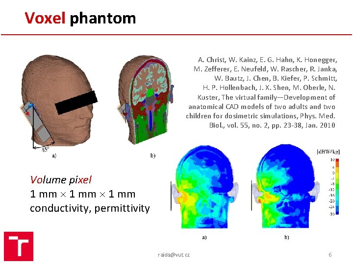 Voxel phantom A. Christ, W. Kainz, E. G. Hahn, K. Honegger, M. Zefferer, E.