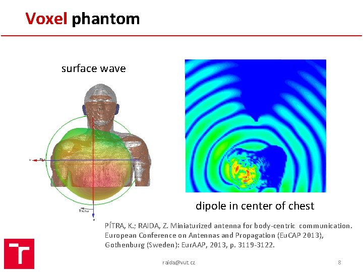 Voxel phantom surface wave dipole in center of chest PÍTRA, K. ; RAIDA, Z.