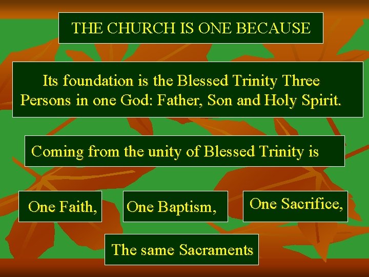 THE CHURCH IS ONE BECAUSE Its foundation is the Blessed Trinity Three Persons in