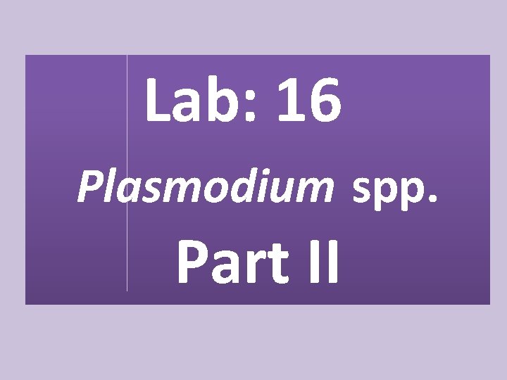 Lab: 16 Plasmodium spp. Part II 