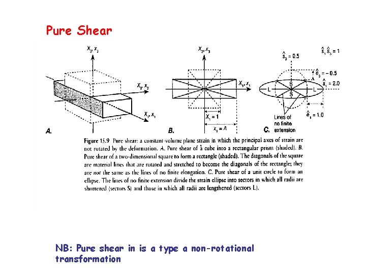 Pure Shear NB: Pure shear in is a type a non-rotational transformation 