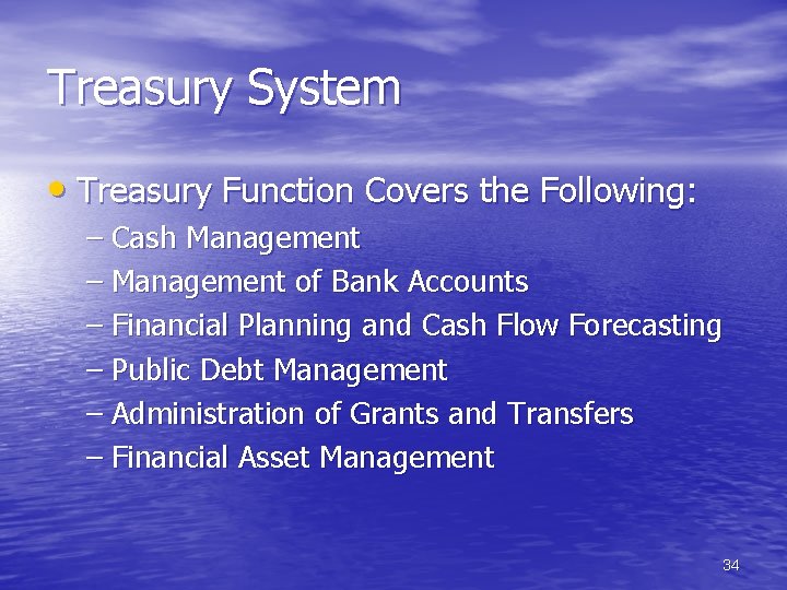 Treasury System • Treasury Function Covers the Following: – Cash Management – Management of