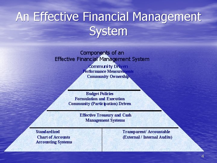 An Effective Financial Management System Components of an Effective Financial Management System Community Driven
