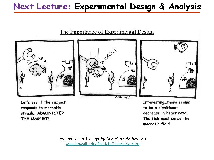 Next Lecture: Experimental Design & Analysis Experimental Design by Christine Ambrosino www. hawaii. edu/fishlab/Nearside.