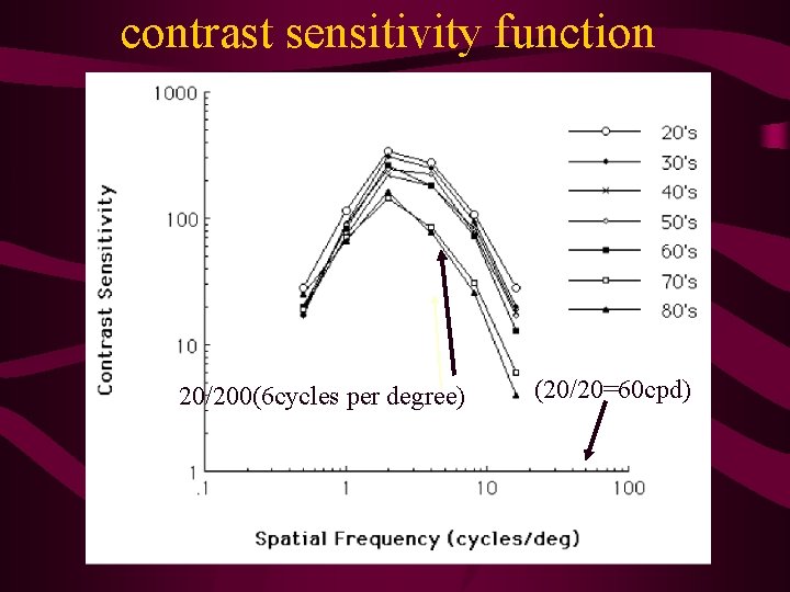 contrast sensitivity function • <> 20/200(6 cycles per degree) (20/20=60 cpd) 