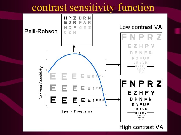 contrast sensitivity function 