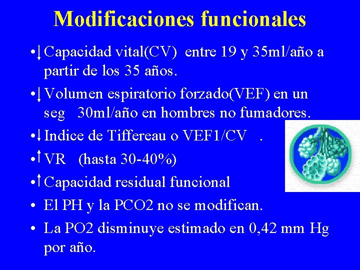 Modificaciones funcionales • Capacidad vital(CV) entre 19 y 35 ml/año a partir de los