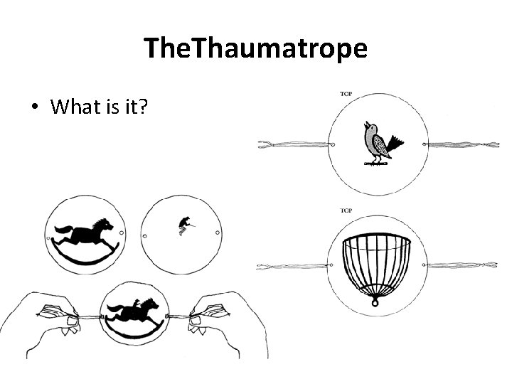 The. Thaumatrope • What is it?  The. Thaumatrope • What is it?