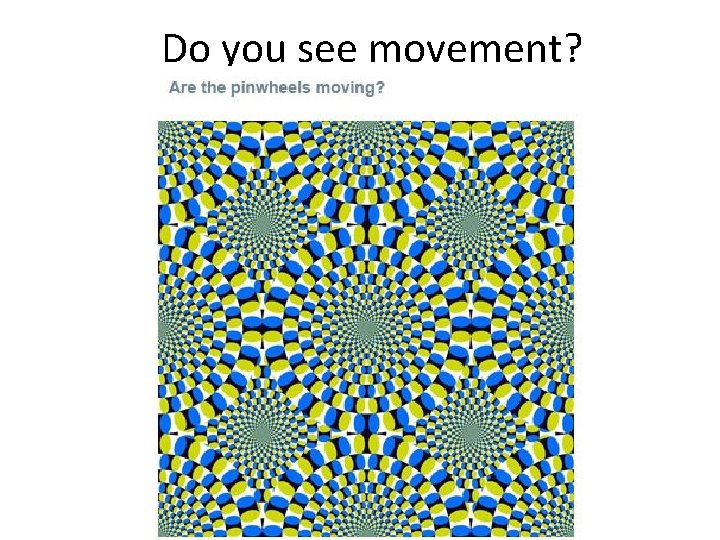 Do you see movement? 