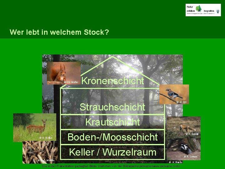 Wer lebt in welchem Stock? © Ch. Müller © A. Brillen © H. -F.