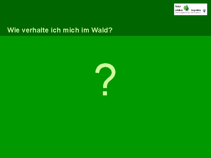 Wie verhalte ich mich im Wald? ? 