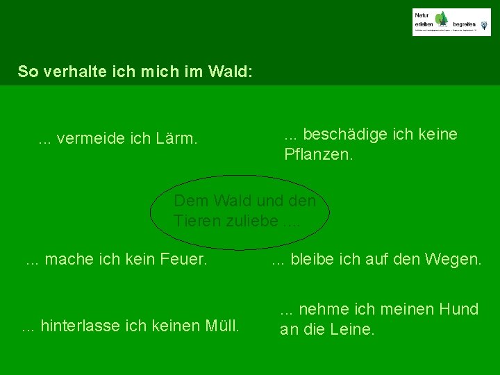 So verhalte ich mich im Wald: . . . vermeide ich Lärm. . beschädige