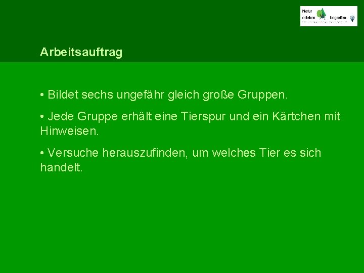 Arbeitsauftrag • Bildet sechs ungefähr gleich große Gruppen. • Jede Gruppe erhält eine Tierspur