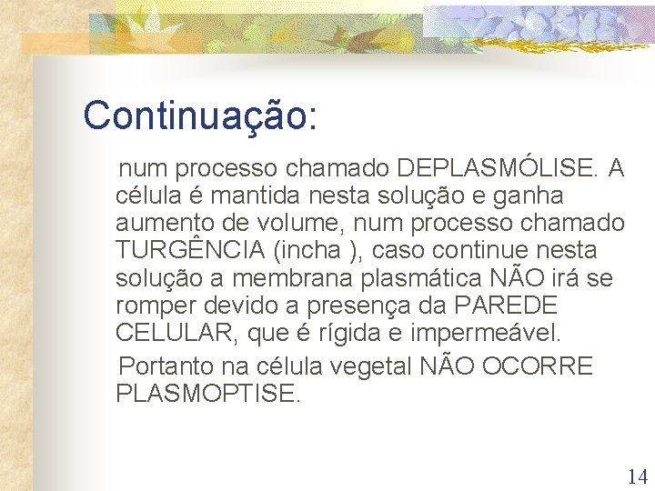 Continuação: num processo chamado DEPLASMÓLISE. A célula é mantida nesta solução e ganha aumento