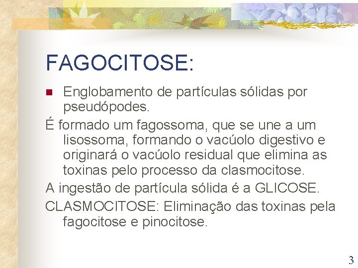 FAGOCITOSE: Englobamento de partículas sólidas por pseudópodes. É formado um fagossoma, que se une