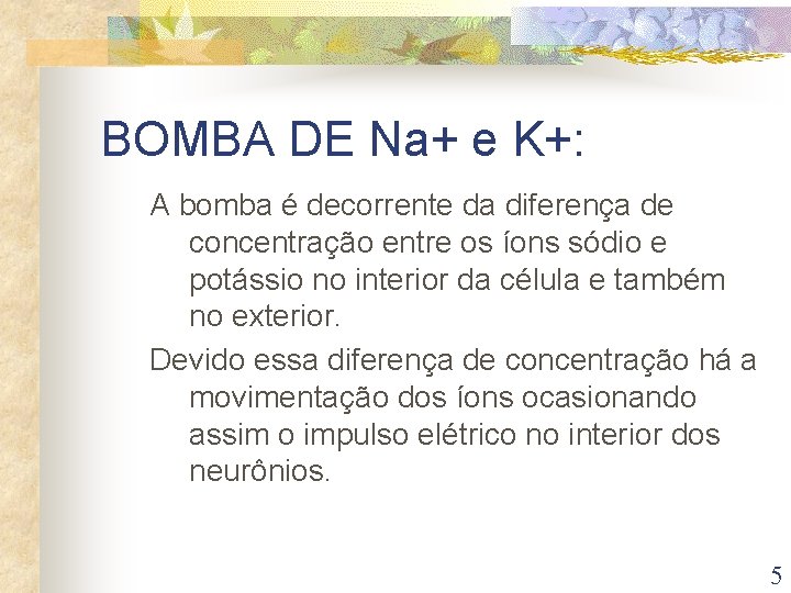 BOMBA DE Na+ e K+: A bomba é decorrente da diferença de concentração entre