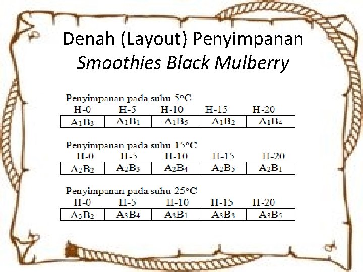 Denah (Layout) Penyimpanan Smoothies Black Mulberry 