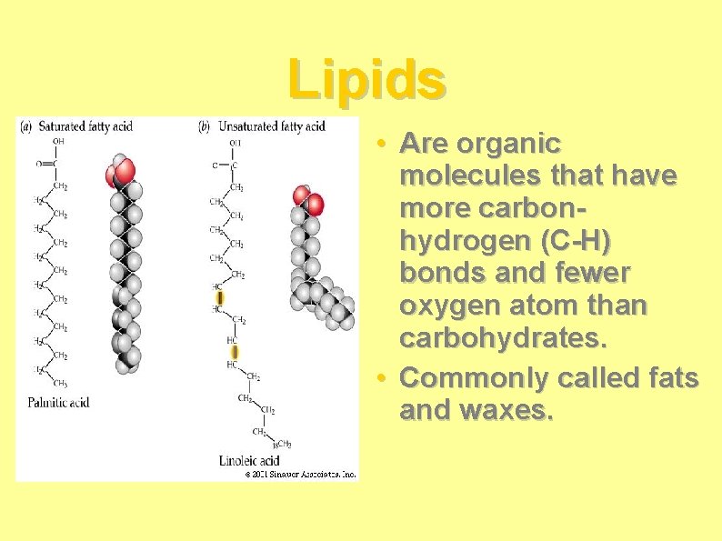Lipids • Are organic molecules that have more carbonhydrogen (C-H) bonds and fewer oxygen Lipids • Are organic molecules that have more carbonhydrogen (C-H) bonds and fewer oxygen