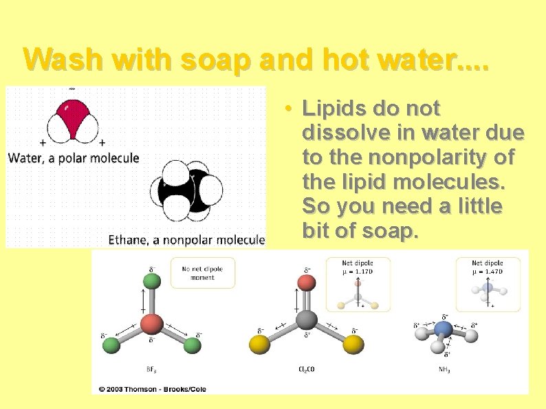 Wash with soap and hot water. . • Lipids do not dissolve in water Wash with soap and hot water. . • Lipids do not dissolve in water
