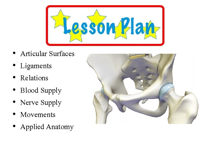  • • Type of Joint Articular Surfaces Ligaments Relations Blood Supply Nerve Supply