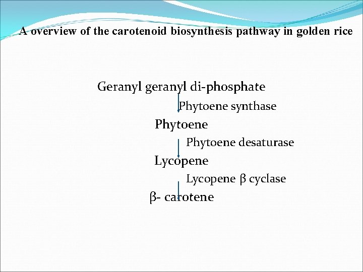 A overview of the carotenoid biosynthesis pathway in golden rice Geranyl geranyl di-phosphate Phytoene