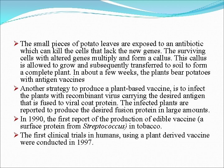 Ø The small pieces of potato leaves are exposed to an antibiotic which can