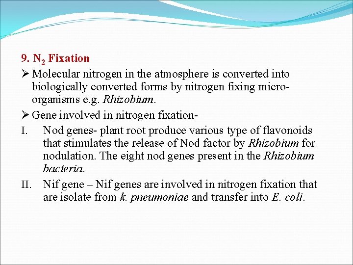 9. N 2 Fixation Ø Molecular nitrogen in the atmosphere is converted into biologically