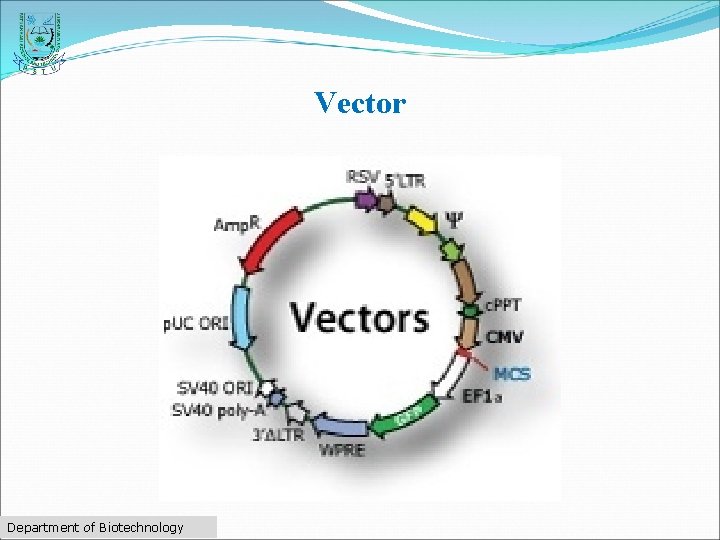 Vector Department of Biotechnology 