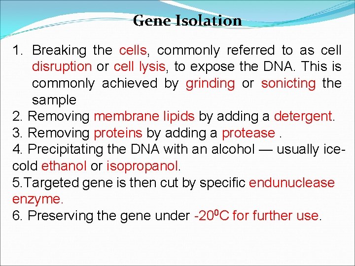 Gene Isolation 1. Breaking the cells, cells commonly referred to as cell disruption or