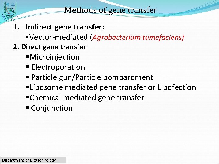 Methods of gene transfer 1. Indirect gene transfer: §Vector-mediated (Agrobacterium tumefaciens) 2. Direct gene
