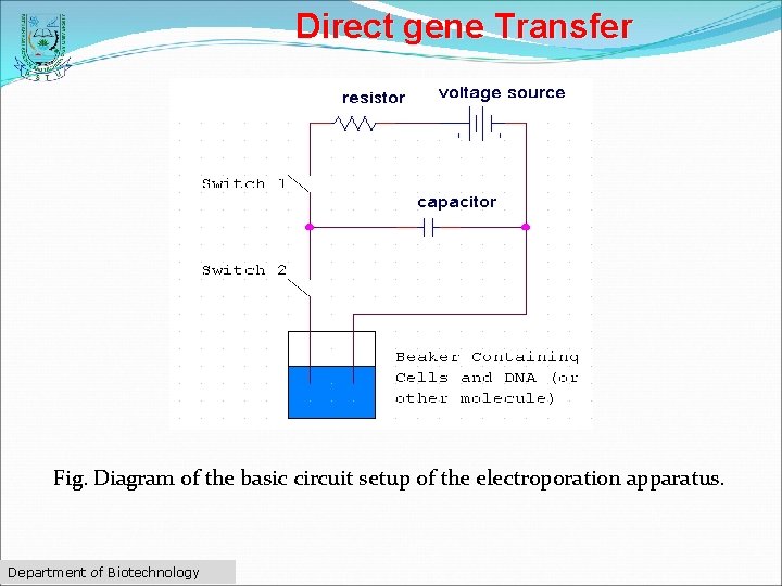 Direct gene Transfer Fig. Diagram of the basic circuit setup of the electroporation apparatus.
