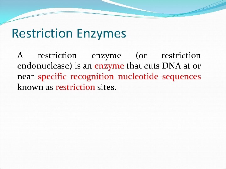 Restriction Enzymes A restriction enzyme (or restriction endonuclease) is an enzyme that cuts DNA