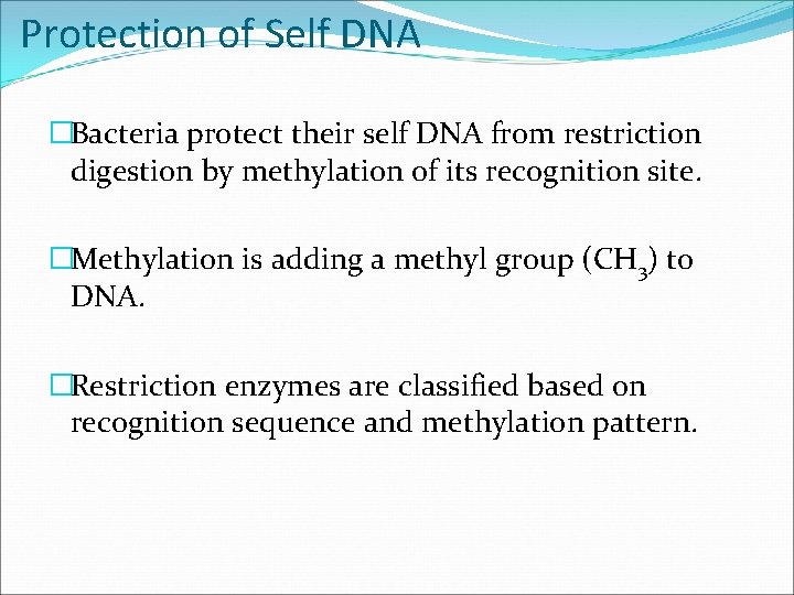Protection of Self DNA �Bacteria protect their self DNA from restriction digestion by methylation