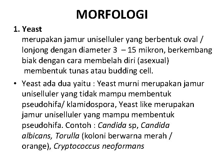 MORFOLOGI 1. Yeast merupakan jamur uniselluler yang berbentuk oval / lonjong dengan diameter 3