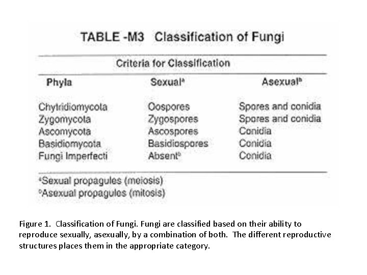 Figure 1. Classification of Fungi are classified based on their ability to reproduce sexually,