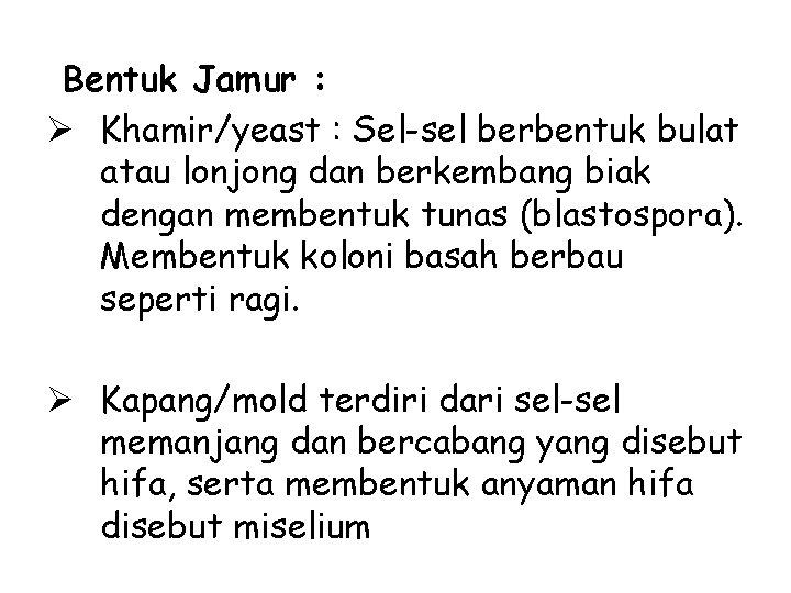 Bentuk Jamur : Ø Khamir/yeast : Sel-sel berbentuk bulat atau lonjong dan berkembang biak
