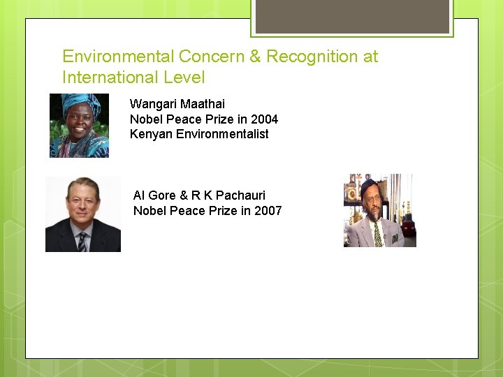 Environmental Concern & Recognition at International Level Wangari Maathai Nobel Peace Prize in 2004