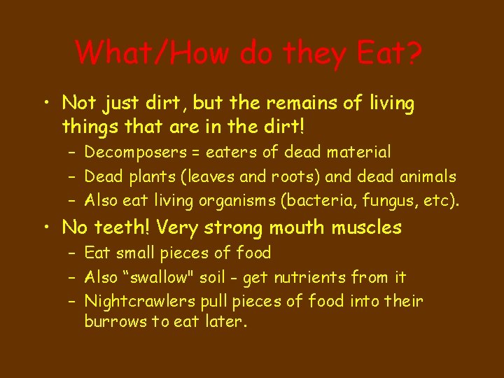 What/How do they Eat? • Not just dirt, but the remains of living things