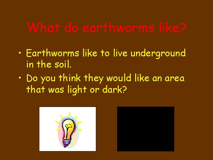 What do earthworms like? • Earthworms like to live underground in the soil. •