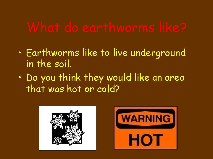 What do earthworms like? • Earthworms like to live underground in the soil. •